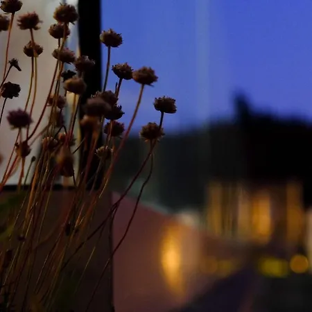 Апартаменты Veiga Da Fraga